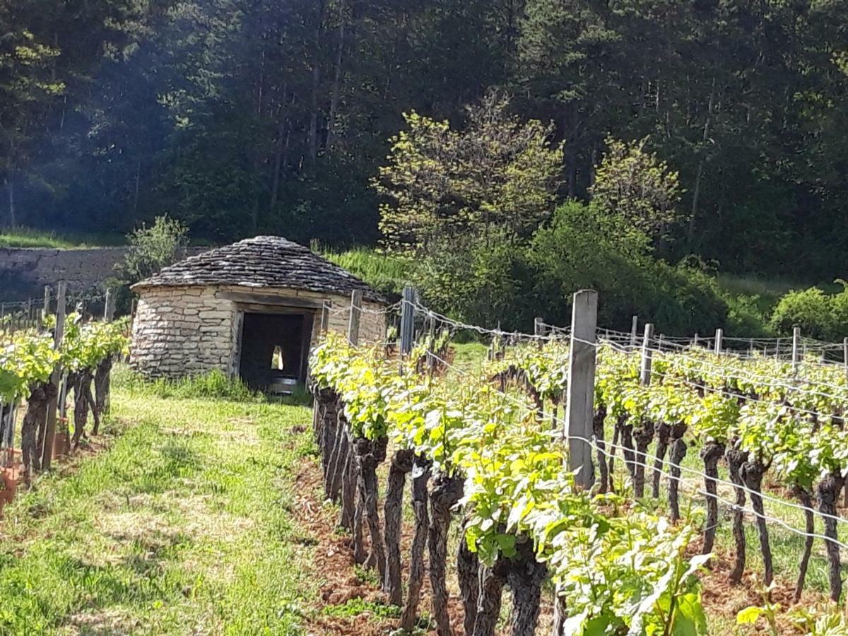 Le Bois De Laval Bed and Breakfast Marey-les-Fussey Buitenkant foto